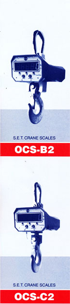 Crane scales