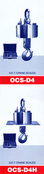 Crane scales